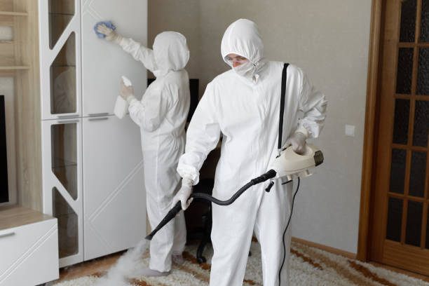 Best Attic Mold Removal  in Vineyard, CA